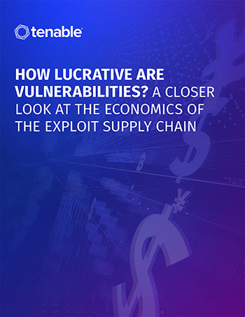 The Economics of Vulnerabilities and Exploit Supply Chains